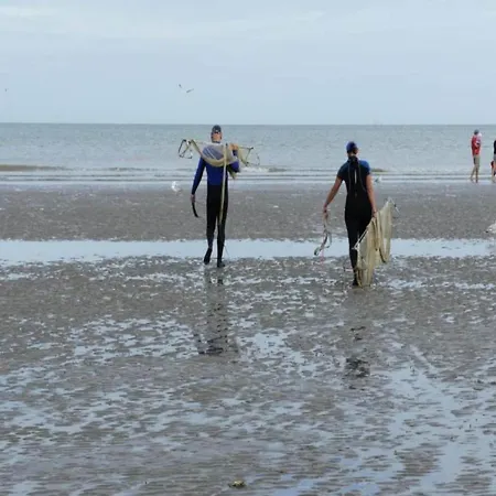 Near Dunes And In Zeedijk, Cleaning Included