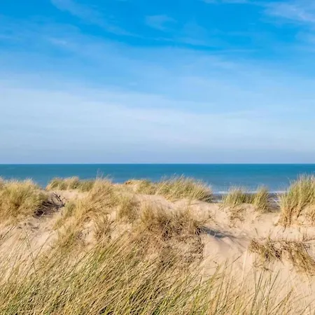 Near Dunes And In Zeedijk, Cleaning Included Апартаменты *