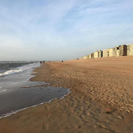 Near Dunes And In Zeedijk, Cleaning Included Апартаменты