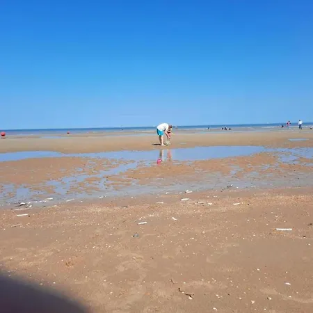 Near Dunes And In Zeedijk, Cleaning Included * Коксейде